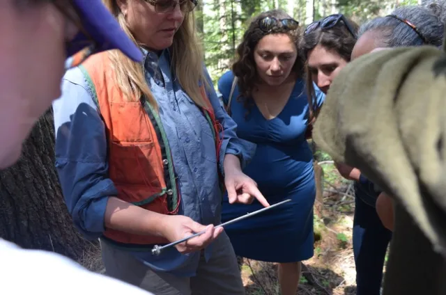 Forester demonstrating tools used