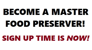 Become a master food