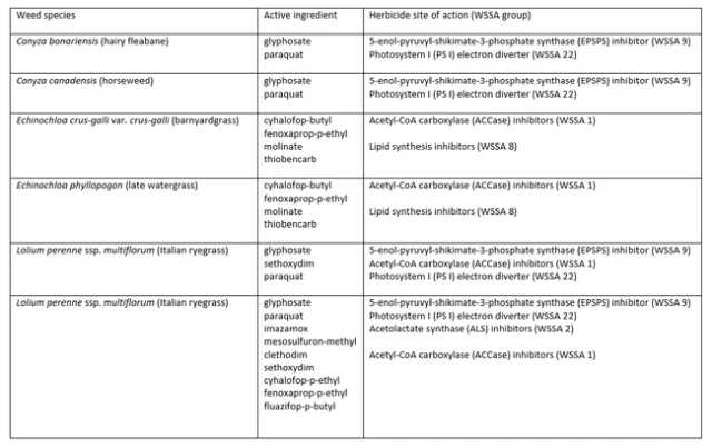 Weeds in CA with HR to multiple SOA