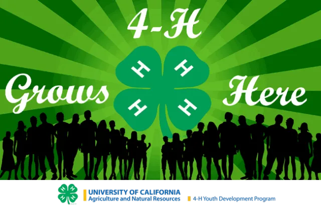 4-H Grows Here ad by Noah Ross, age 15