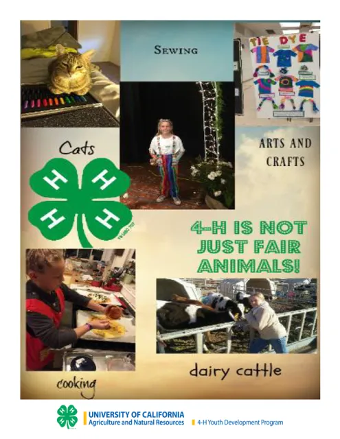 Promotional ad by Mia Beck, age 10