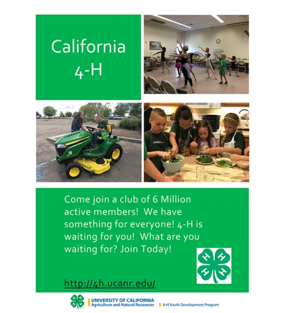 Promotional ad by Noah Salters, age 10