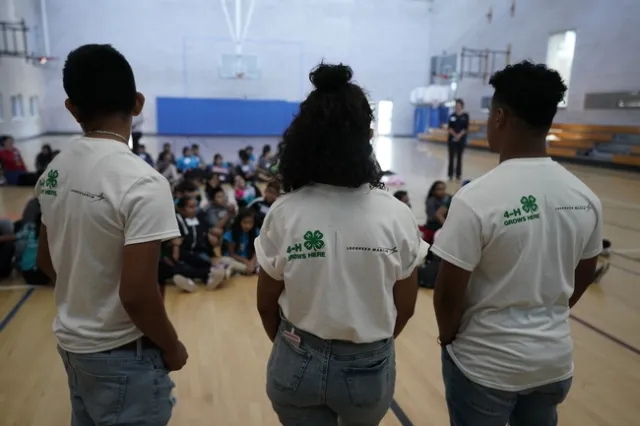 Teen Teachers presenting to 71 4th and 5th grade students.