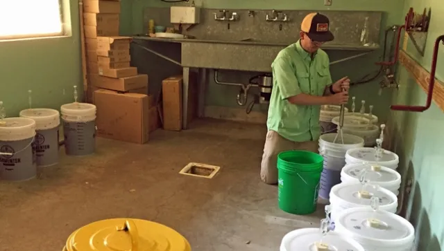 Ryan Keiffer, agricultural technician at Hopland Research & Extension Center, made small batches of wine to see if grapes exposed to smoke create smoke flavors in wine.