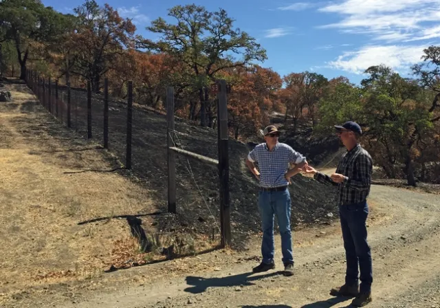 John Bailey, right, director of the UC Hopland Research and Extension, speaks with UC ANR vice provost Mark Lagrimini where fire impact was evident shortly after the fire. The pasture on the left of the fence was grazed, the area on the right was grazed.