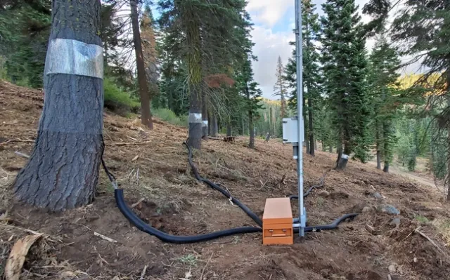 An instrumented forest restoration site in the Middle Fork of the American River Basin. Photo by Safeeq Khan