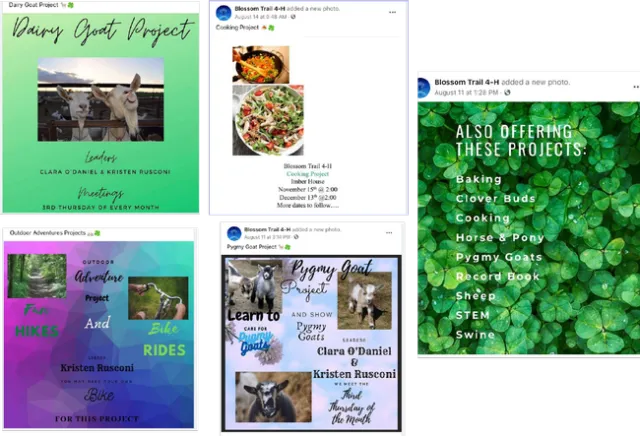 Screen shots of projects promoted on Facebook.