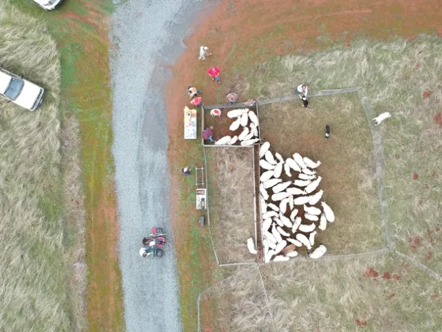 Photo credit: Roger Ingram