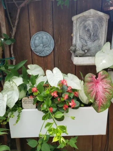 Window box planter.