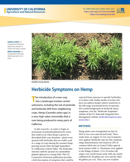 UCCE researchers have written a new publication outlining symptoms of herbicide drift on hemp.