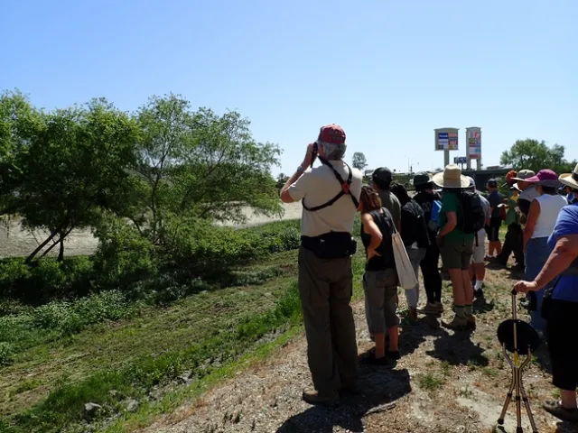About a dozen people look over a creek. Water not shown, just green vegetation bordering the creek.