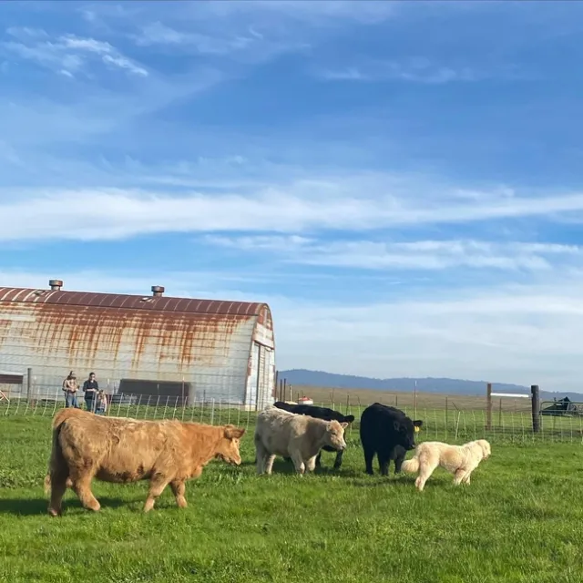 Photo Jan 13, 3 14 02 PM