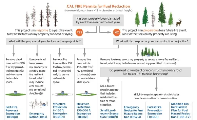 A decision tree that lists various permitting pathways