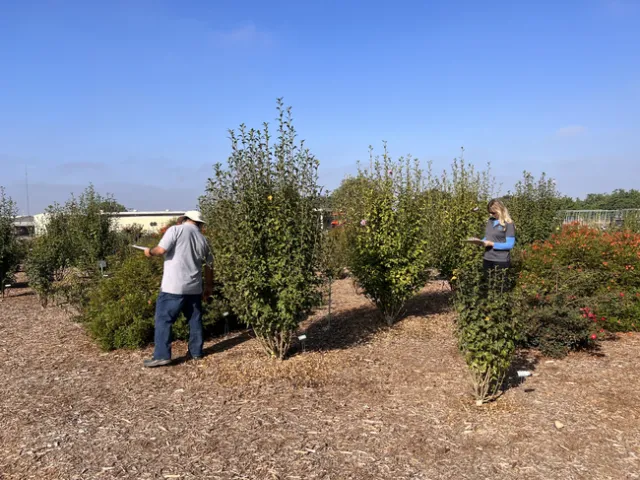 Two people hold clipboards and assess plants.