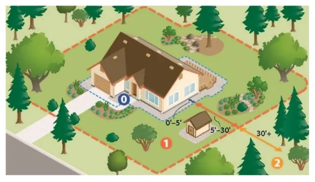Illustrations of a house surrounded by trees and shrubs and a house with only a few plants near the house.