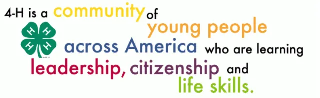 Screenshot 2023-03-14 161400