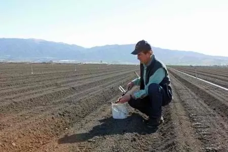 Richard Smith tests nitrogen levels in a soil out in a field.