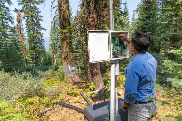 Safeeq Khan adjusts a research instrument among trees in a forest