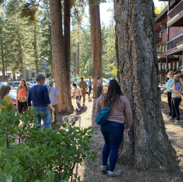 Project Learning Tree encourages using multiple senses to learn about forests. Here, students use their sense of smell.