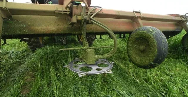 Capture Woolf cutter February 2, 2022