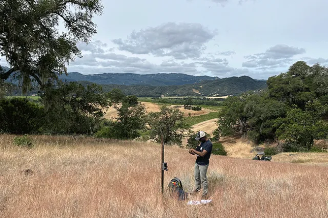 Man wearing a hat stands in the middle of a field of tall, brown grass surrounded by oak trees.