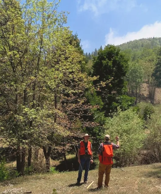 View from a 2021 Forest Stewardship Workshop field day, San Bernardino cohort.