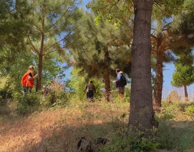 UCCE Forestry Advisor Susie Kocher leads Forest Stewardship workshop participants during a field day. Photo credit: Kim Ingram.