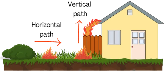 Figure 3. Weeds can create a horizontal path for the fire to spread, but also cause the ignition of other flammable components allowing the fire to go up vertically. Photo by Luca Carmignani, UCCE.