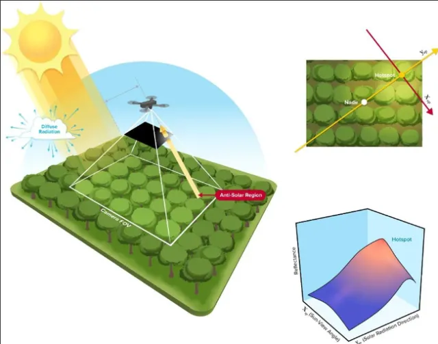 Diagram showing how sunlight can create false hotspots in drone data over orchards