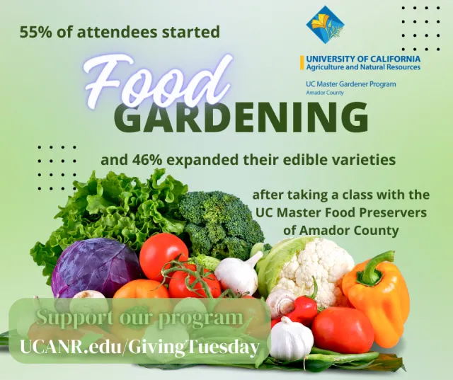 Food gardening GT Amador v.1