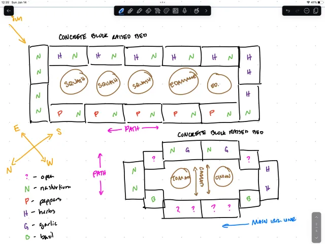 This sketch identifies which veggies and plants I'll be planting in one of two raised beds. Image by Michelle Chin.