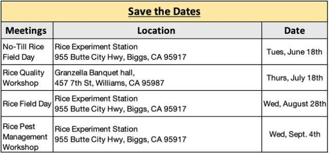 Screenshot 2024-06-21 at 8.58.19 AM