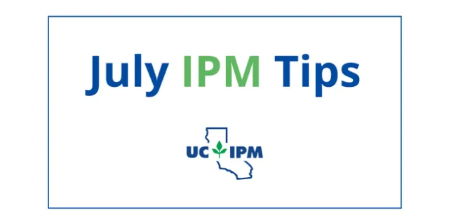 Pest prevention tips for July.