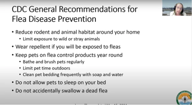 CDC General Recommendations for Flea Disease Prevention: reduce rodent and animal habitat around your home; limit exposure to wild or stray animals; wear repellent if you will be exposed to fleas; keep pets on flea control products year round; bathe and brush pets regularly; limit pet time outdoors; clean pet bedding frequently with soap and water; do not allow pets to sleep on your bed; do not accidentally swallow a dead flea.