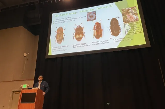 Man speaks at podium in front of image of beetles at Almond Day