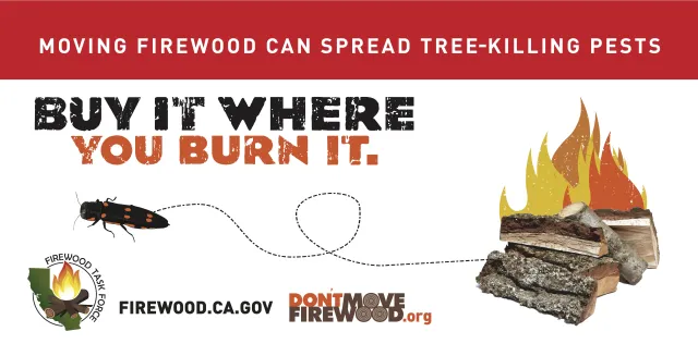 Don’t move firewood.org billboard states “Buy it Where you Burn it”. Moving firewood can spread tree-killing pests. 