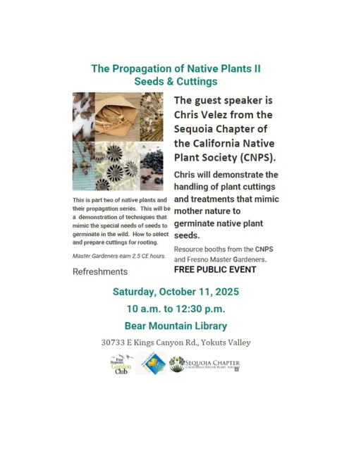 native plant propagation