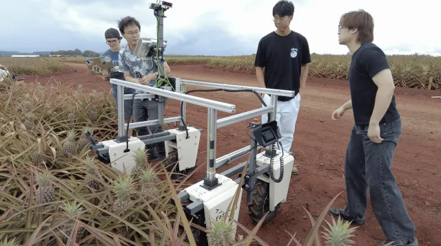 Team members from the University of Hawaiʻi at Mānoa test their robot in a pineapple field