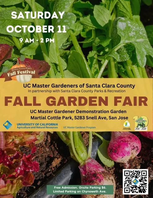 Veggies with Ad in the center for MG FGF