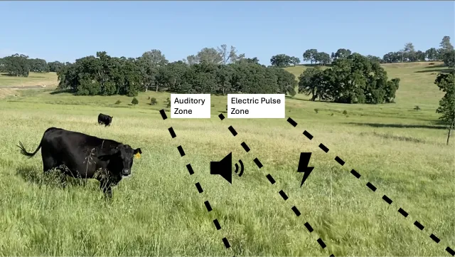 VF audio & pulse boundary