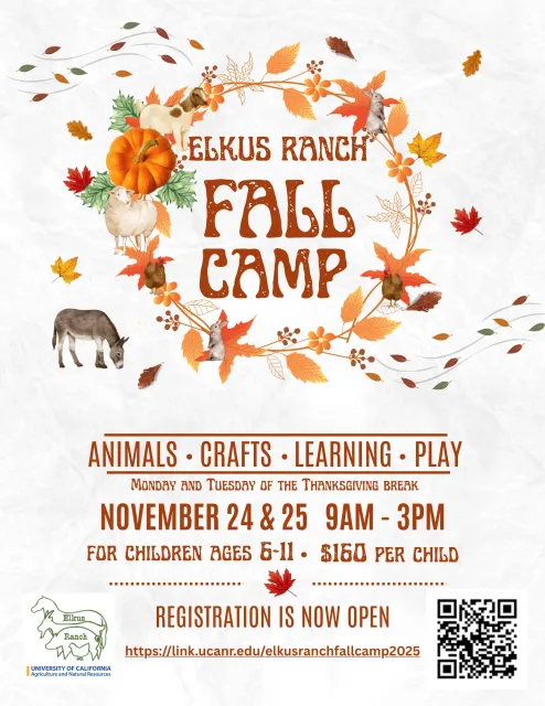 Elkus Fall Camp 2025