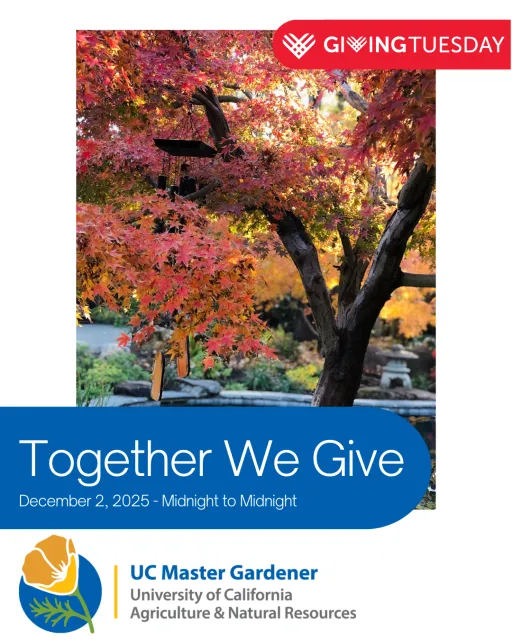 GivingTuesday request for donation 12/2