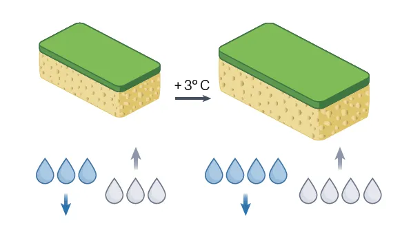 Illustration of two kitchen sponges with water droplets showing how the bigger sponge absorbs more water and releases more water