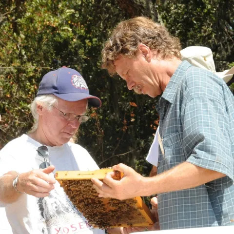 eekeepers Bill Cervenka (left) of Half Moon Bay and Randy Oliver of Grass Valley check out a frame in Healdsburg during a bee conference. (Photo by Kathy Keatley Garvey)