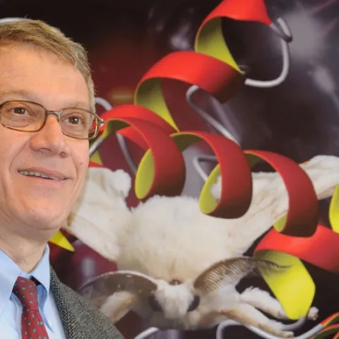 UC Davis chemical ecologist Walter Leal is the recipient of ESA's Nan-Yao Su Award for Innovation and Creativity in Entomology. (Photo by Kathy Keatley Garvey)