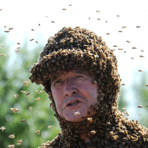 Apiculturist/bee wrangler Norman Gary, emeritus professor of entomology at UC Davis. (Photo by Kathy Keatley Garvey)
