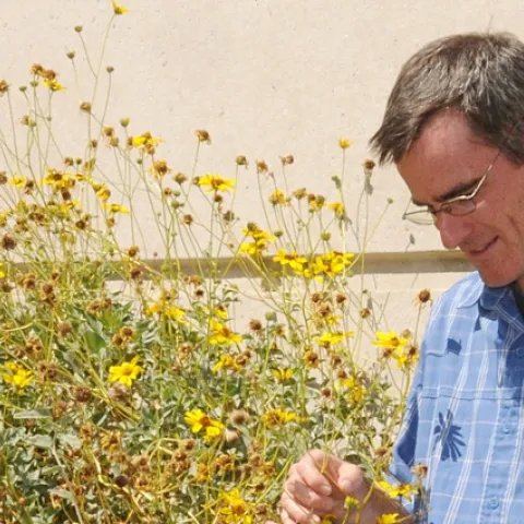 Pollination ecologist Neal Williams, assistant professor of entomology at UC Davis, will be one of the featured speakers at the International Symposium on Pollinator Conservation. (Photo by Kathy Keatley Garvey)