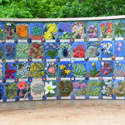 Nature's Gallery, a mosaic mural celebrating insects and plants, is now at home in the Storer Garden, UC Davis Arboretum, on Garrod Drive. (Photo by Kathy Keatley Garvey)