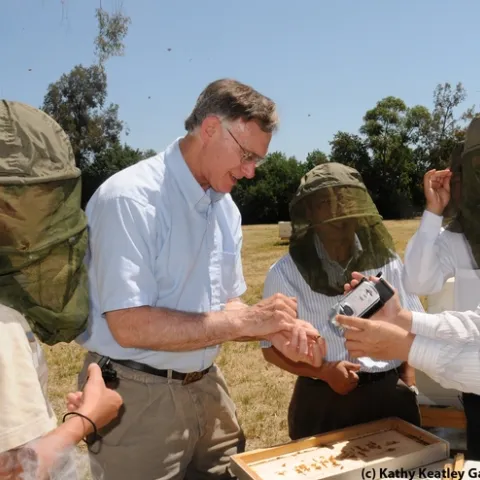 Extension apiculturist Eric Mussen talks to a tour group at the Harry H. Laidlaw Jr. Honey Bee Research Facility, UC Davis. (Photo by Kathy Keatley Garvey)