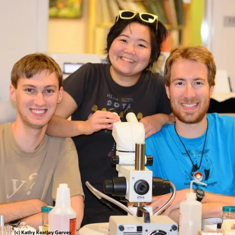 They did it! From left are Andrew Richards, Ivana Li and Matan Shelomi. (Photo by Kathy Keatley Garvey)